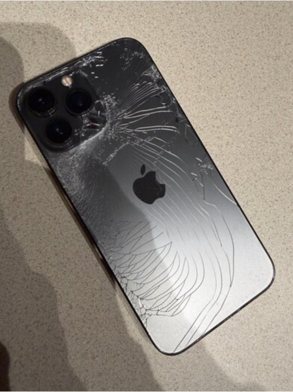 iPhone 13 Pro Max Shattered Back